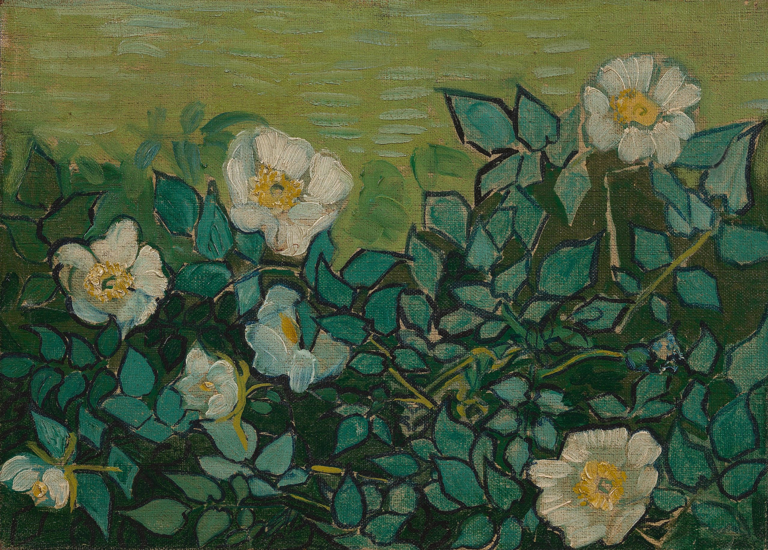 Reproduction du tableau « Roses sauvages - Vincent van Gogh » par Alpha Reproduction en peinture à l’huile