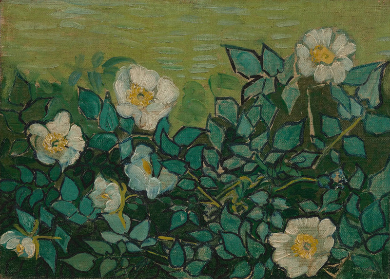 Rose selvatiche - Vincent van Gogh