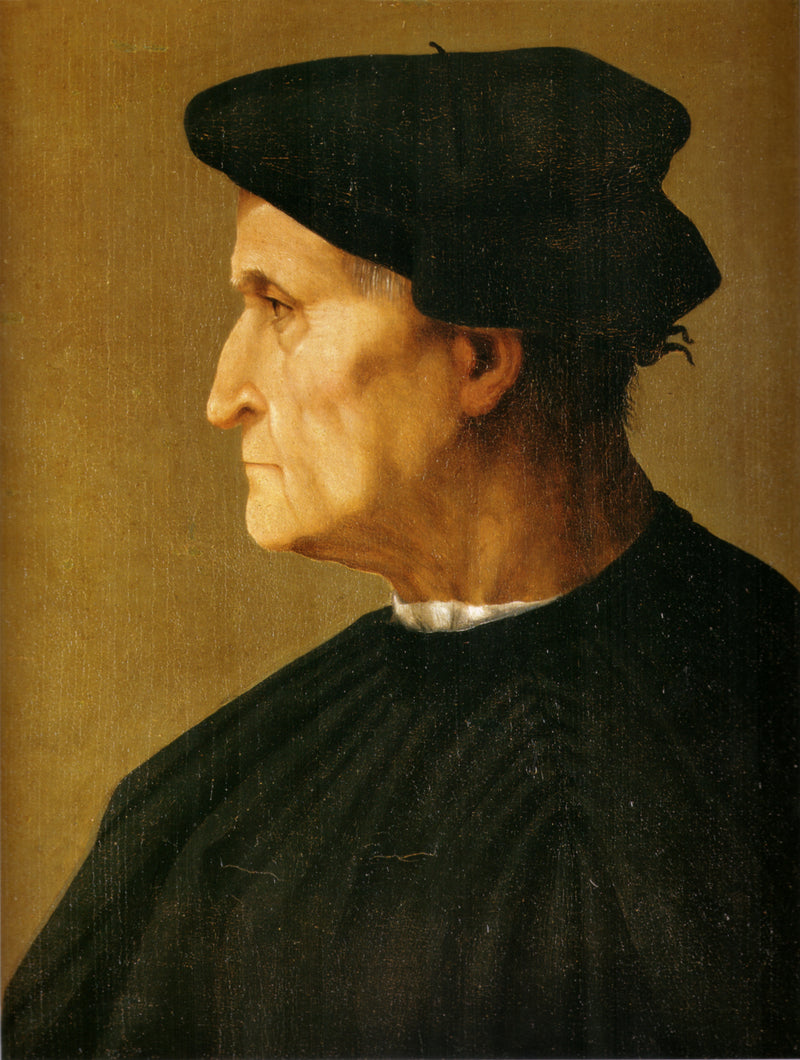 Ritratto di uomo in nero - Rosso Fiorentino