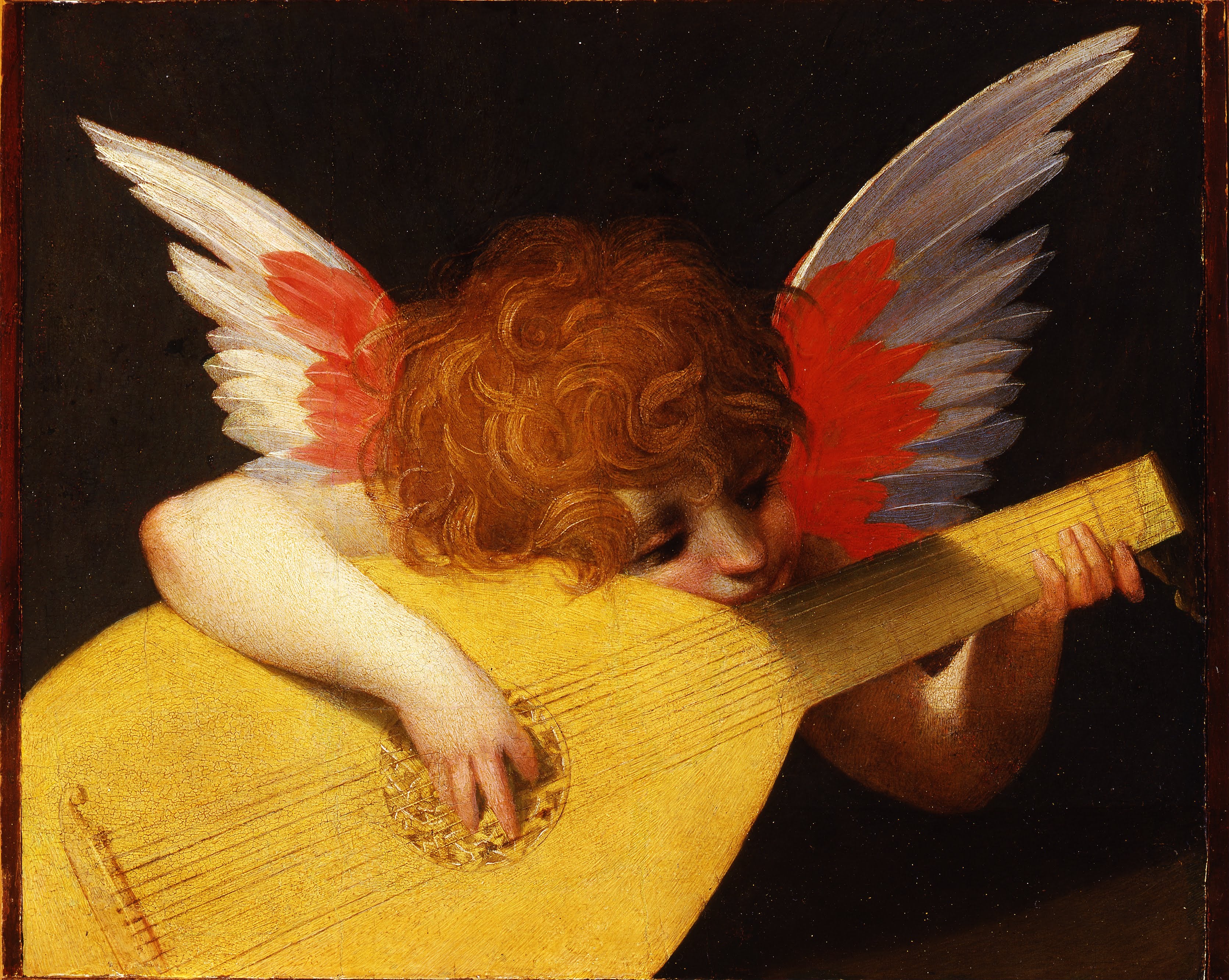 Angelot jouant du luth - Rosso Fiorentino - Alpha Reproduction