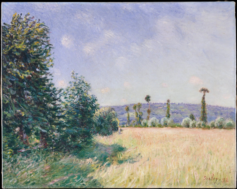 Le Praterie di Sahurs nella luce del mattino - Alfred Sisley