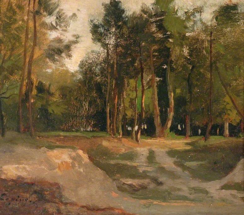 La forêt de Fontainebleau France - Stanislas Lépine - Alpha Reproduction
