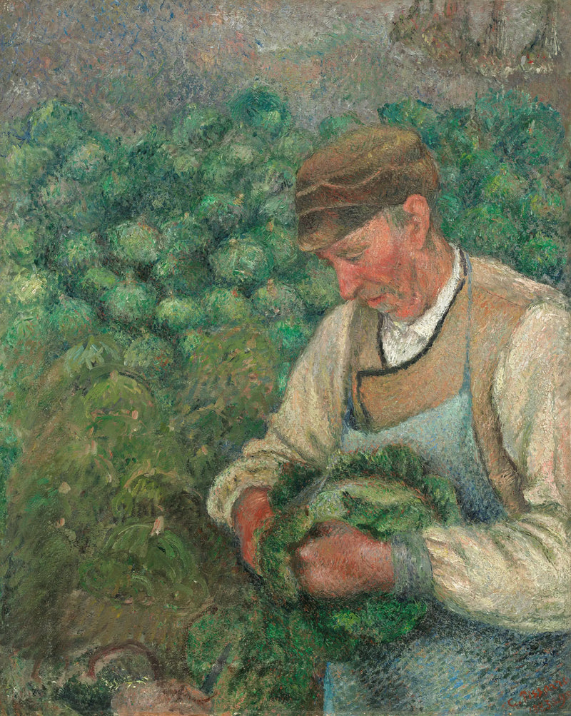 Il Giardiniere - Vecchio Contadino con il Cavolo - Camille Pissarro