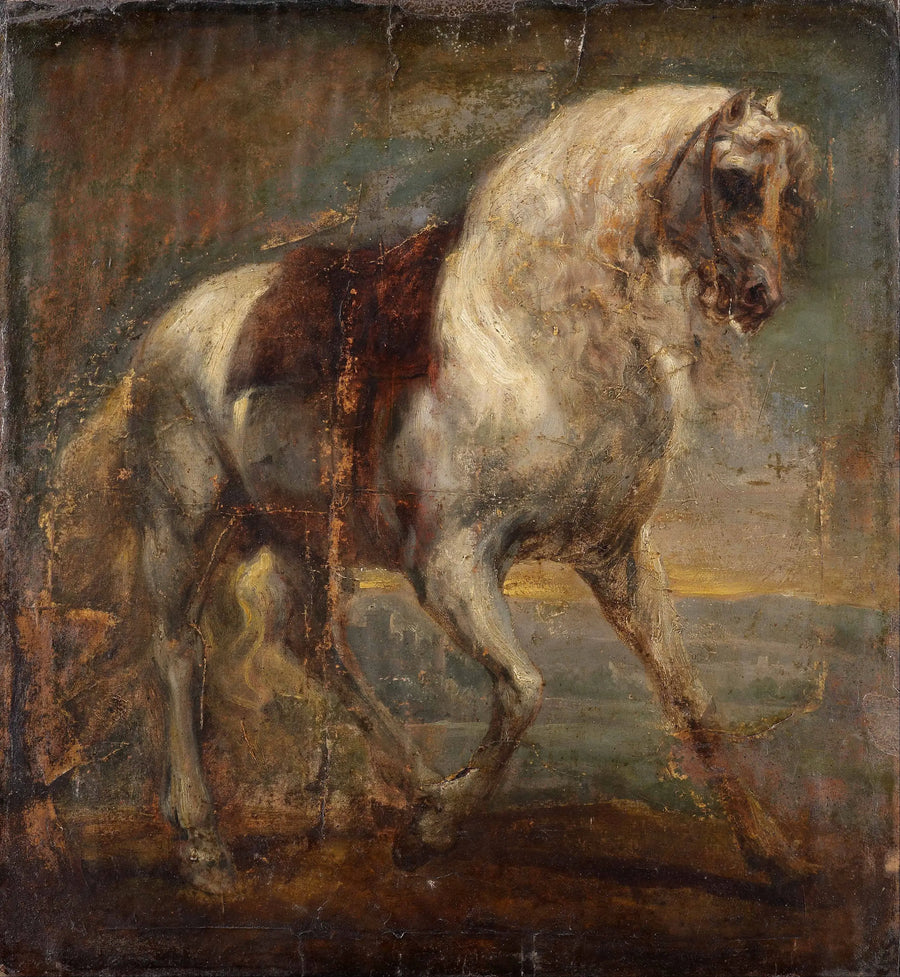 Un cavallo grigio - Antoine van Dyck