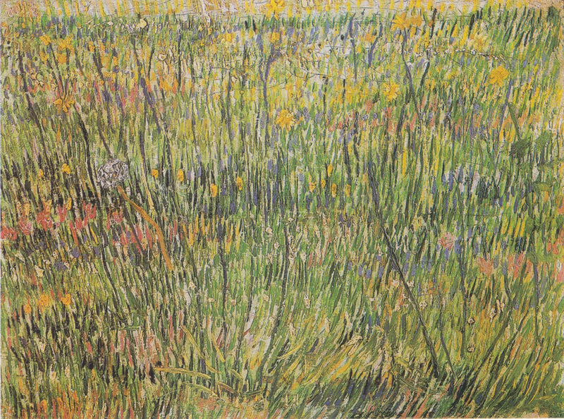 Pascolo in fiore - Vincent van Gogh