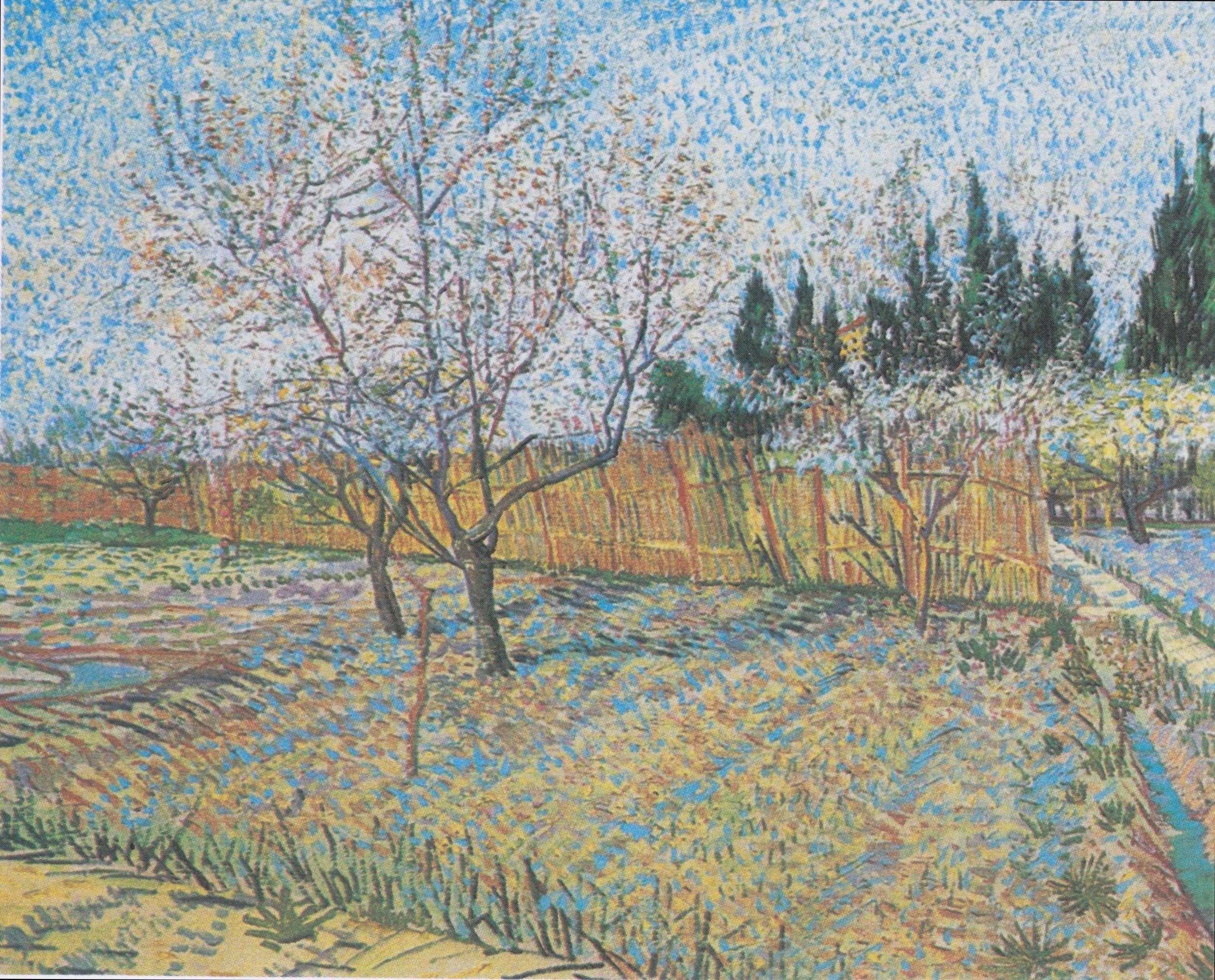 Reproduction du tableau « Verger avec cyprès - Vincent van Gogh » par Alpha Reproduction en peinture à l’huile