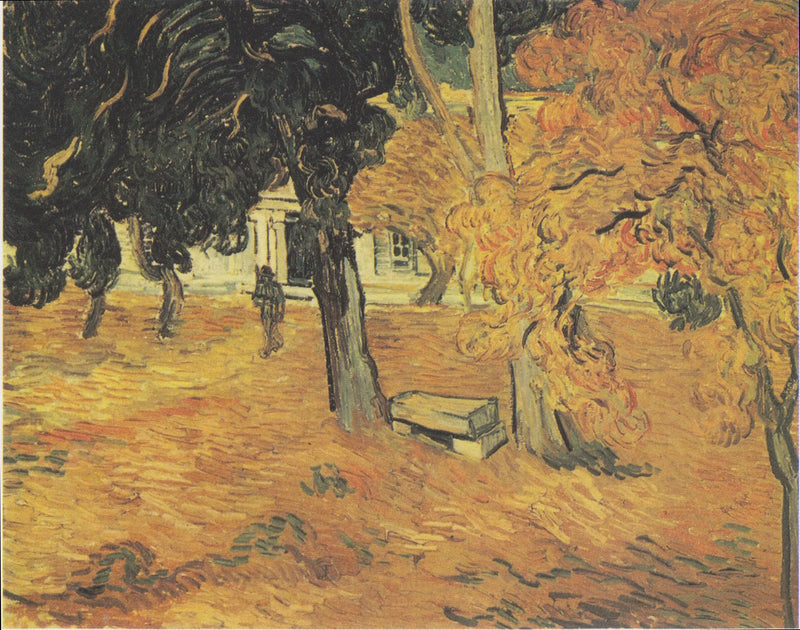 Giardino dell'ospedale Saint-Paul, Il - Vincent van Gogh