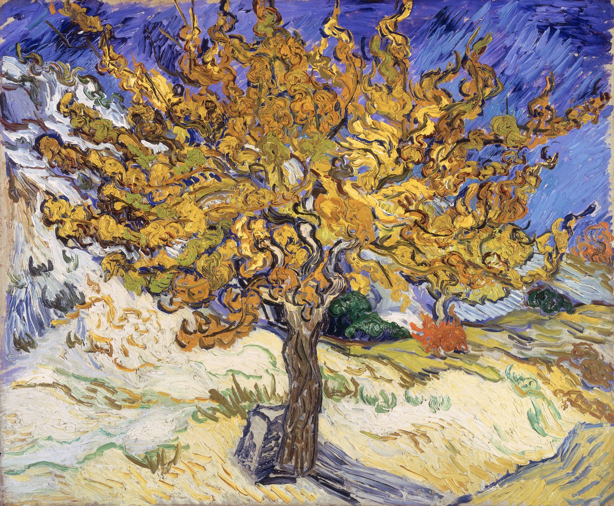 Reproduction du tableau « Le mûrier - Vincent van Gogh » par Alpha Reproduction en peinture à l’huile