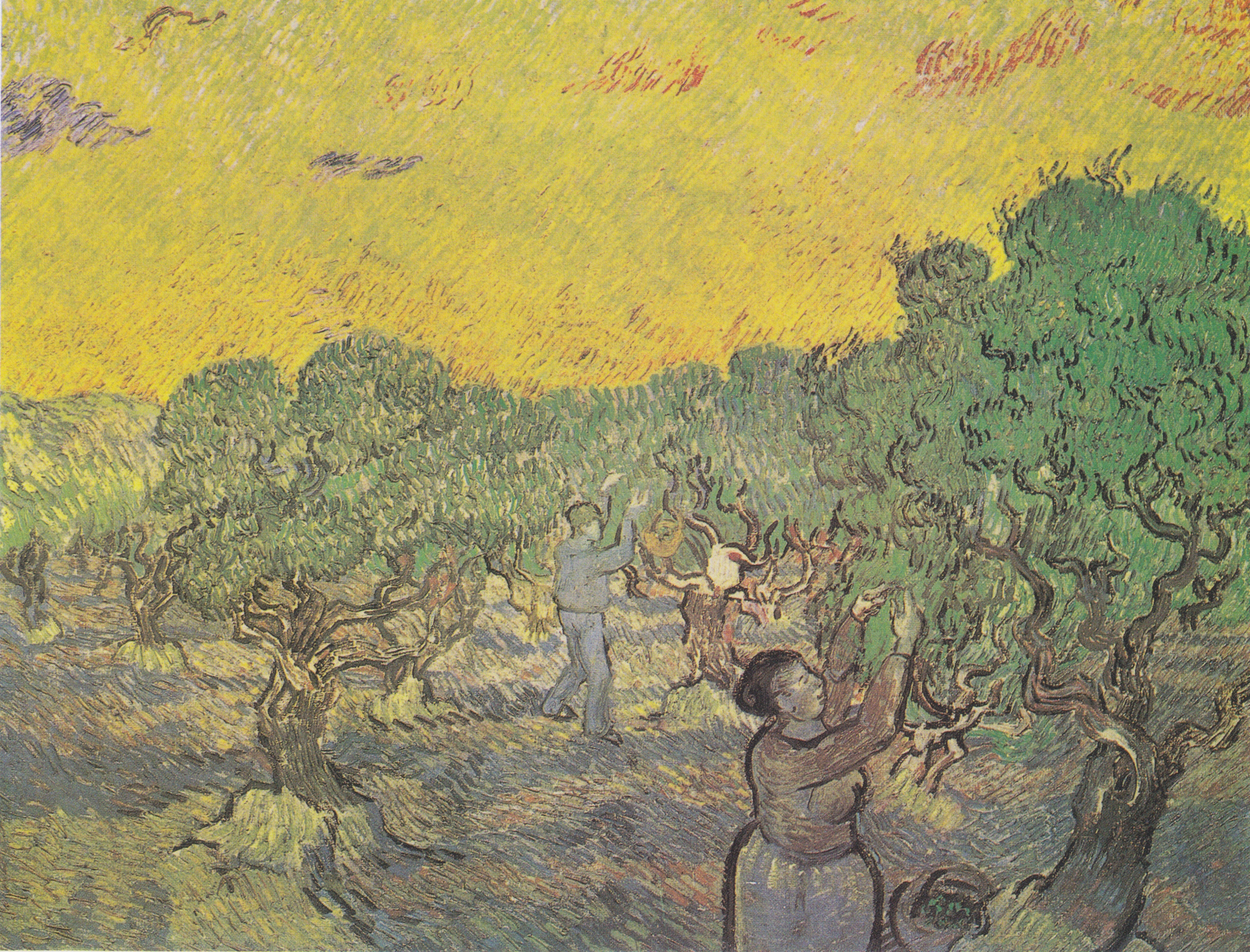 Reproduction du tableau « Oliveraie avec figurines de cueillette - Vincent van Gogh » par Alpha Reproduction en peinture à l’huile