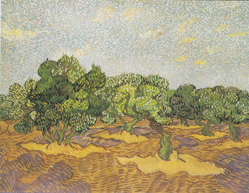Olivi - Vincent van Gogh