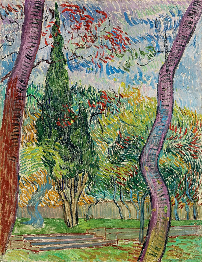 Parco dell'ospedale Saint-Paul - Vincent van Gogh