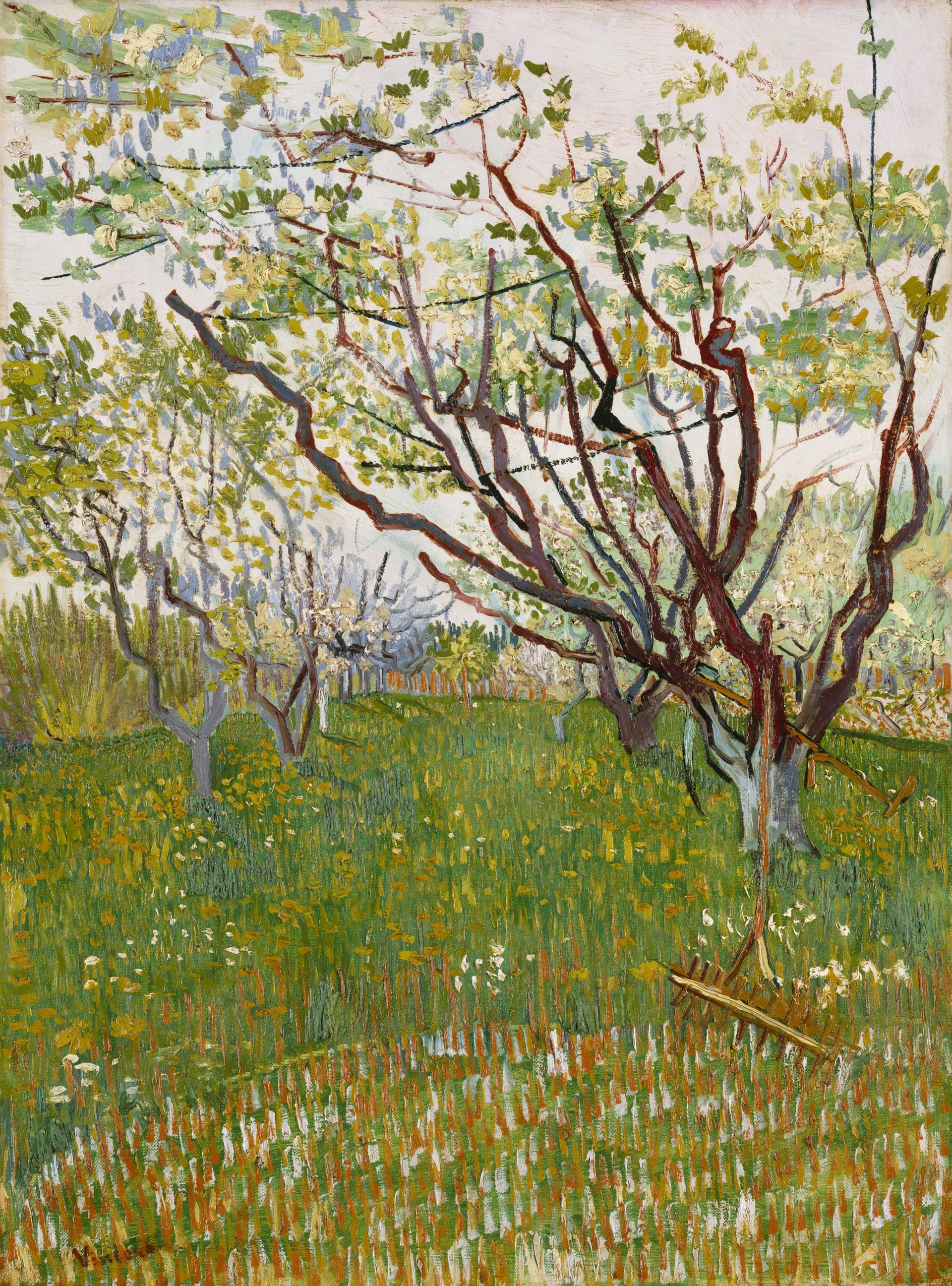 Le Verger en fleurs, peinture de Vincent van Gogh