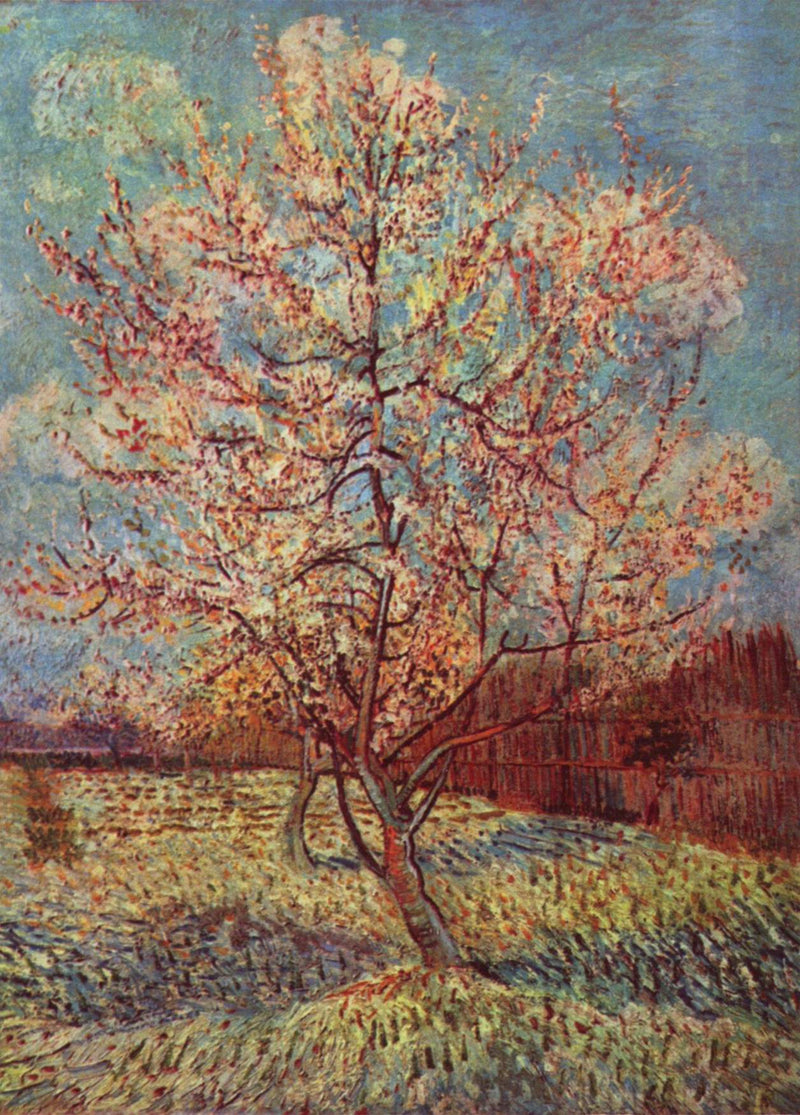 Le Pêcher rose – Vincent van Gogh