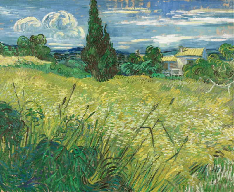 Il Campo di grano verde con cipressi - Vincent van Gogh