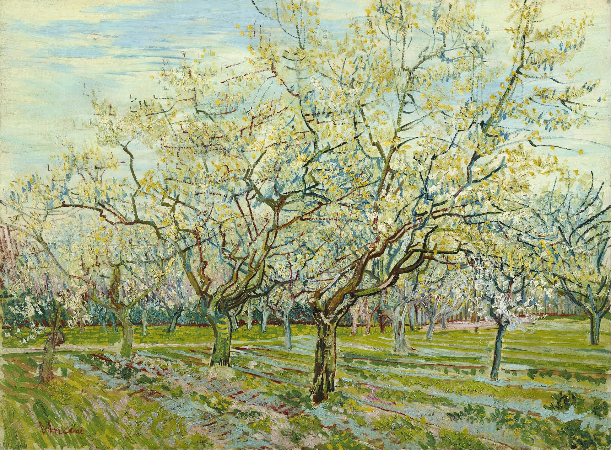 Reproduction du tableau « Le verger blanc - Vincent van Gogh » par Alpha Reproduction en peinture à l’huile