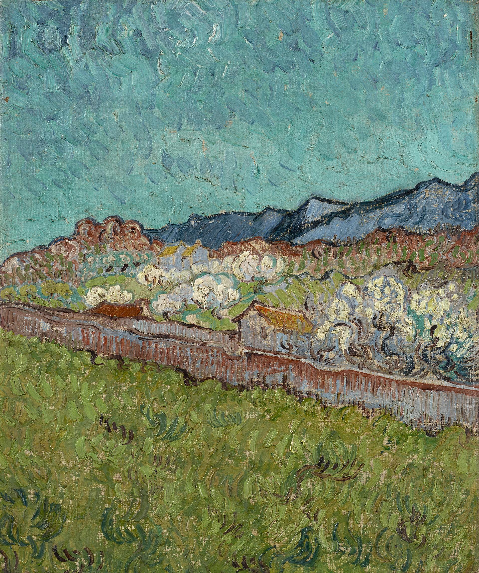 Vista sulle Alpilles - Vincent van Gogh