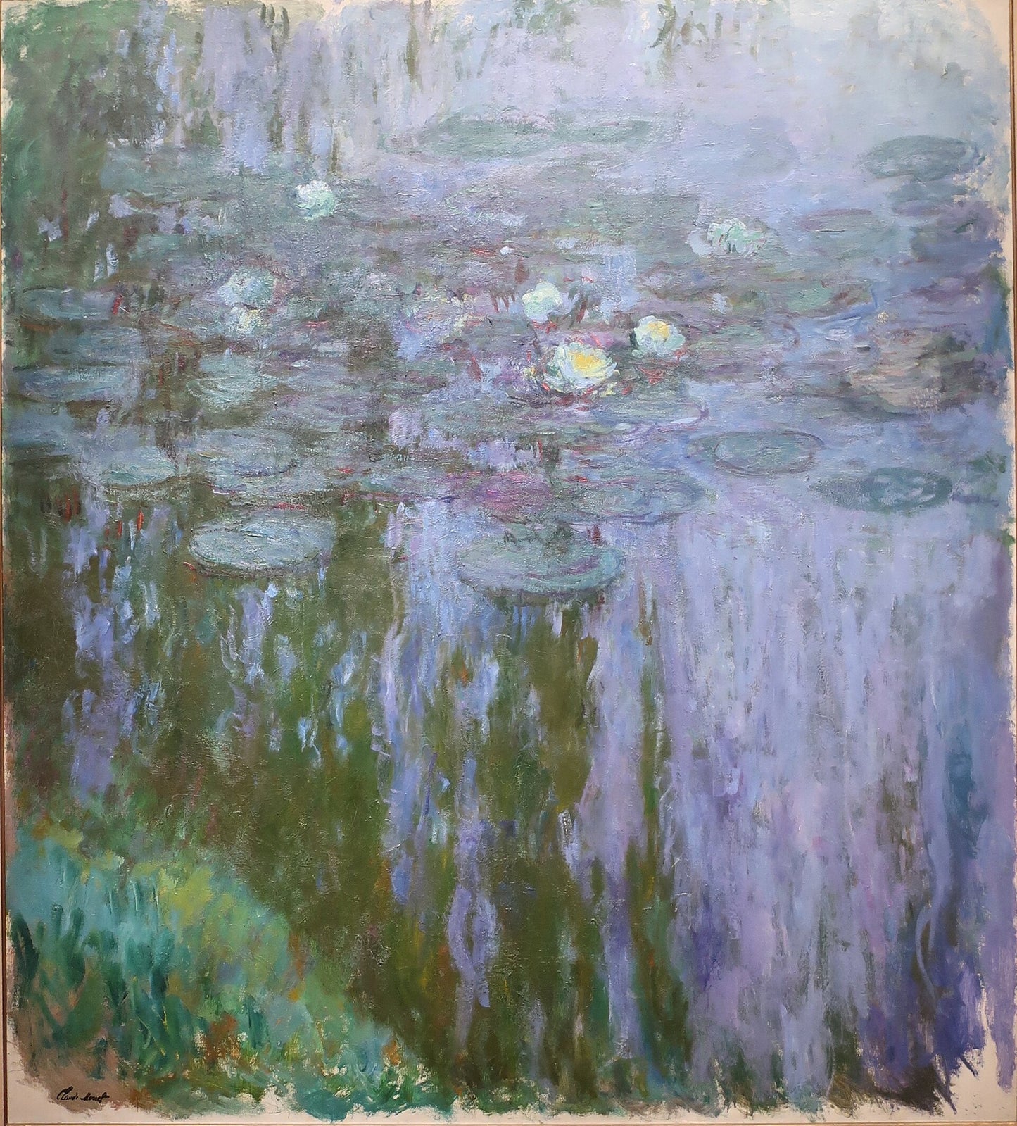 🌿 Ninfee – Riflessi Verdi e Viola