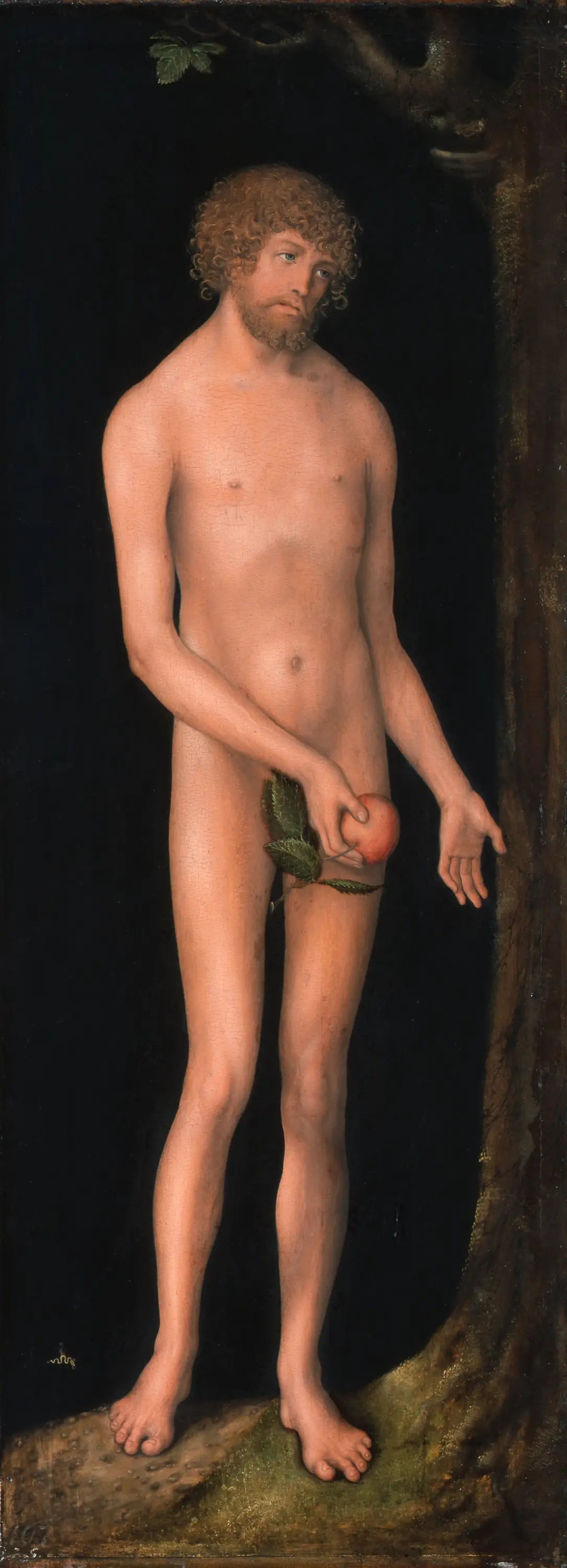 Adam - Lucas Cranach the Elder image 1 reproduction d’œuvre d’art à l’huile