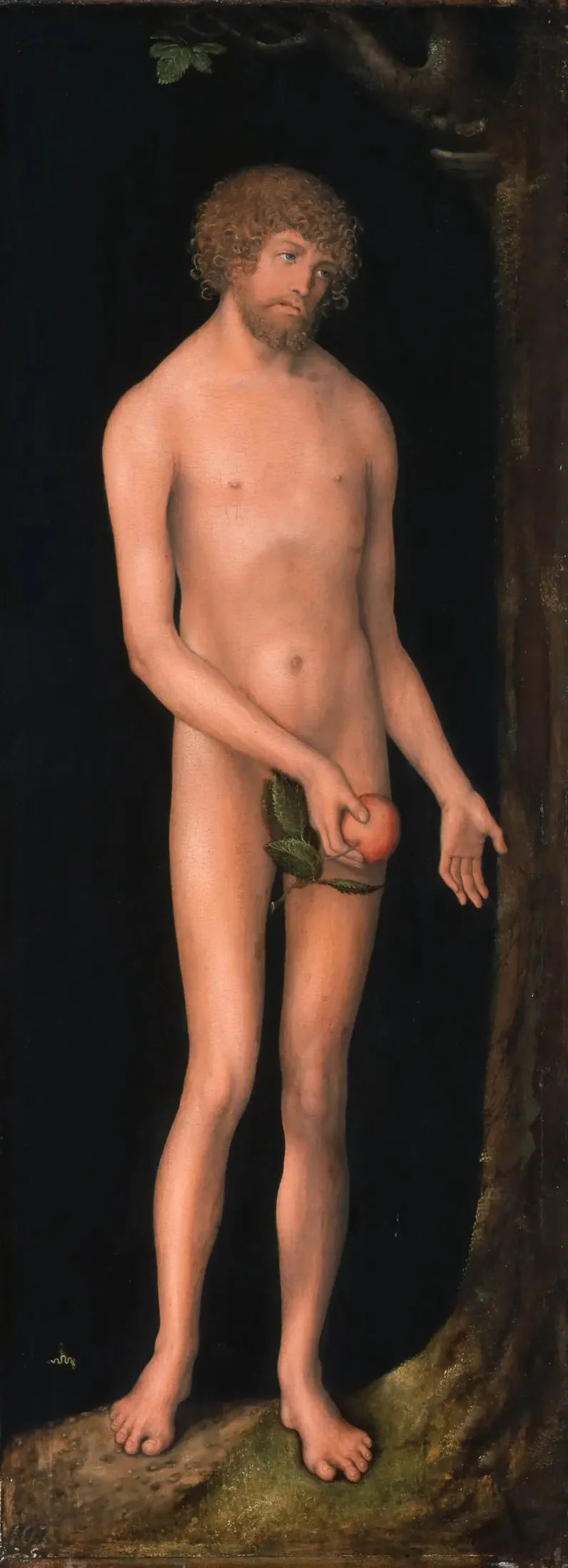 Adam - Lucas Cranach il Vecchio