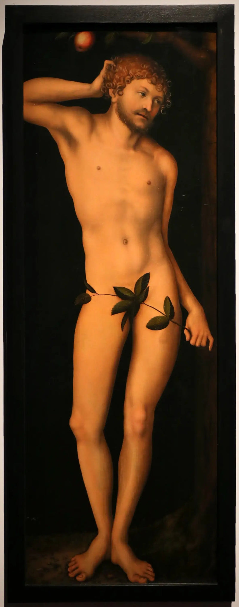 Adam - Lucas Cranach il Vecchio