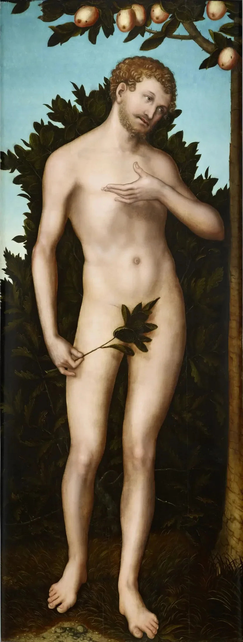 Adam - Lucas Cranach il Vecchio