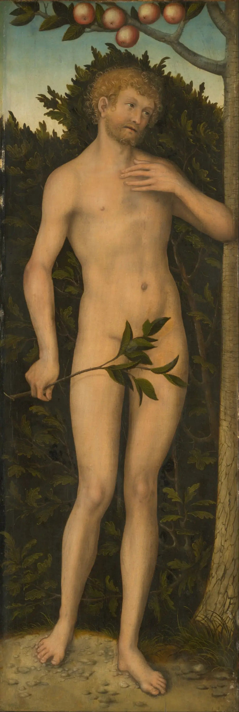 Adam - Lucas Cranach il Vecchio