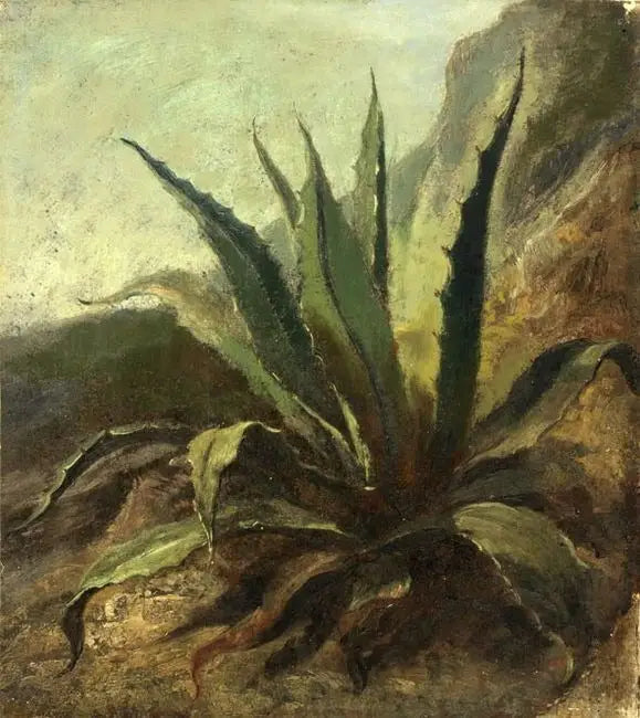 Agave in Marocco - Eugène Delacroix