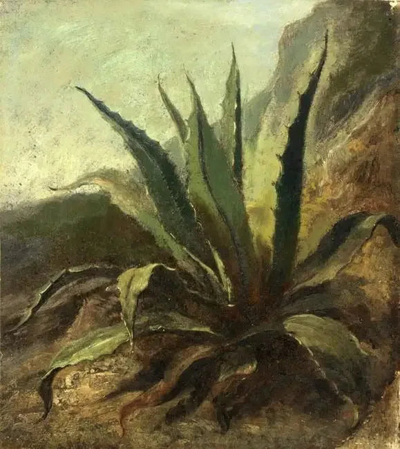 Agave in Marocco - Eugène Delacroix