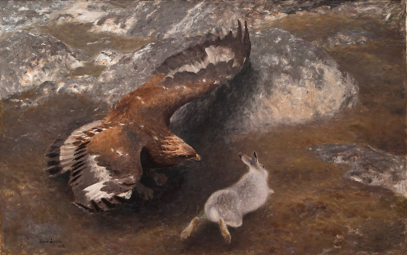 Aquila e lepre - Bruno Liljefors