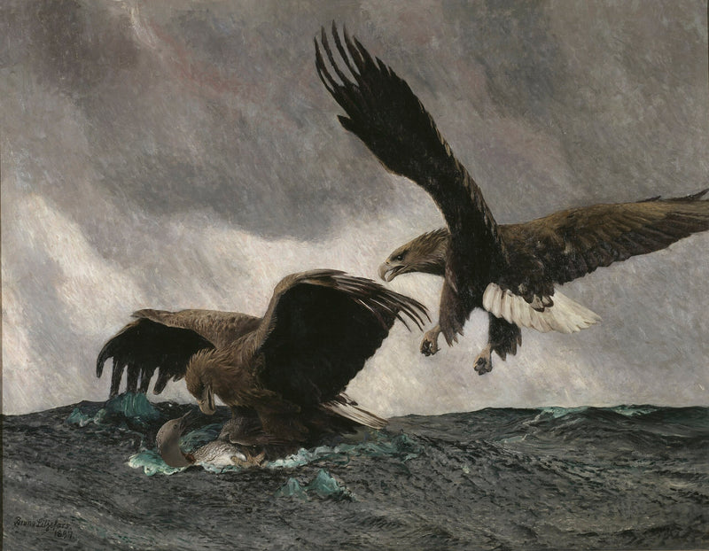 Aquile di mare - Bruno Liljefors