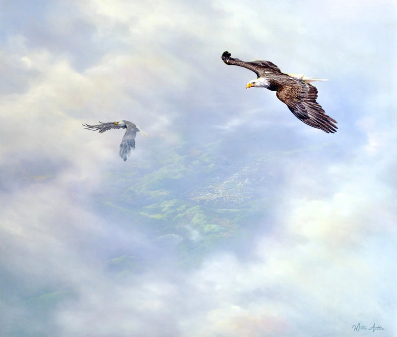 Aquile in volo | Dimensioni: 200 x 170 cm