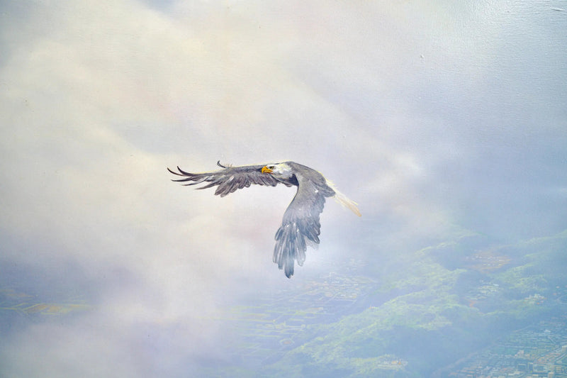 Aquile in volo | Dimensioni: 200 x 170 cm
