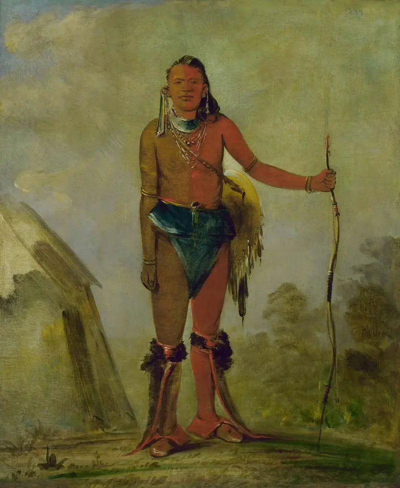 Aih-no-wa, Il Fuoco, un volpe guaritore - George Catlin