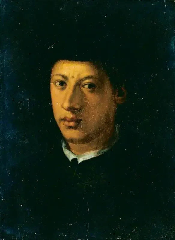 Alexandre de Médicis (1510-1537) - Pontormo image 1 reproduction de peinture à l’huile