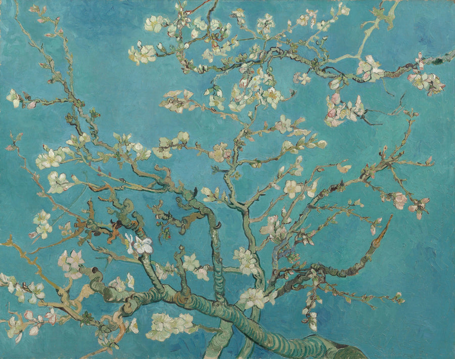 Amandier en fleurs – Vincent van Gogh