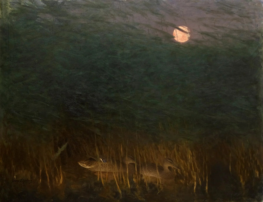 Atmosfera notturna con anatre selvatiche - Bruno Liljefors