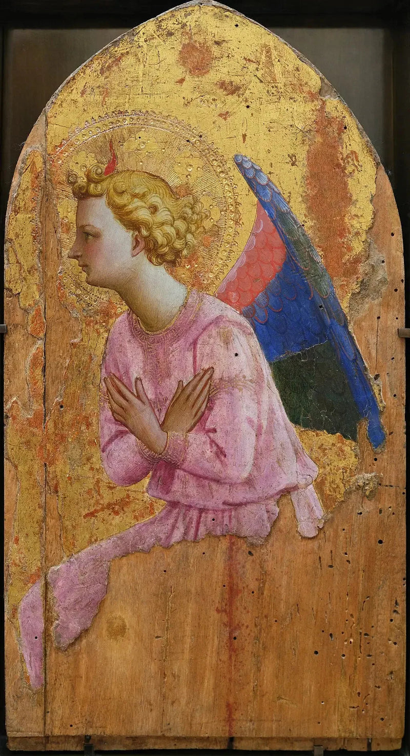 Angelo in adorazione, rivolto a sinistra - Fra Angelico