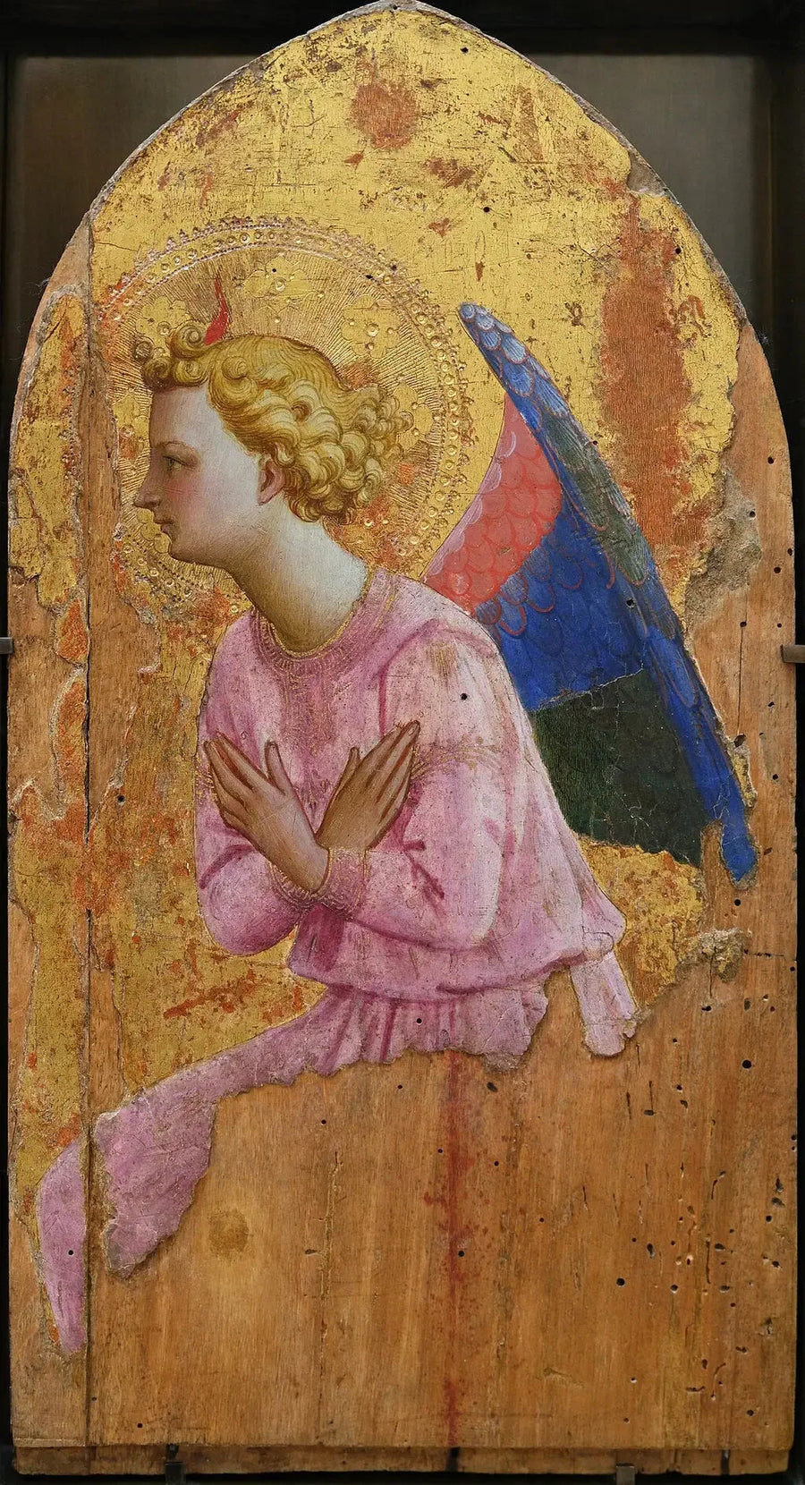 Angelo in adorazione, rivolto a sinistra - Fra Angelico