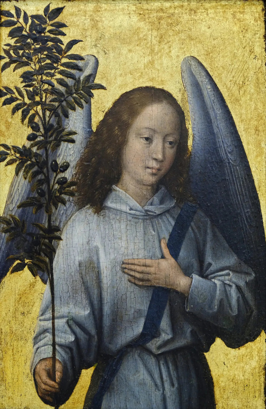 Ange locataire un ramo d'olivo - Hans Memling