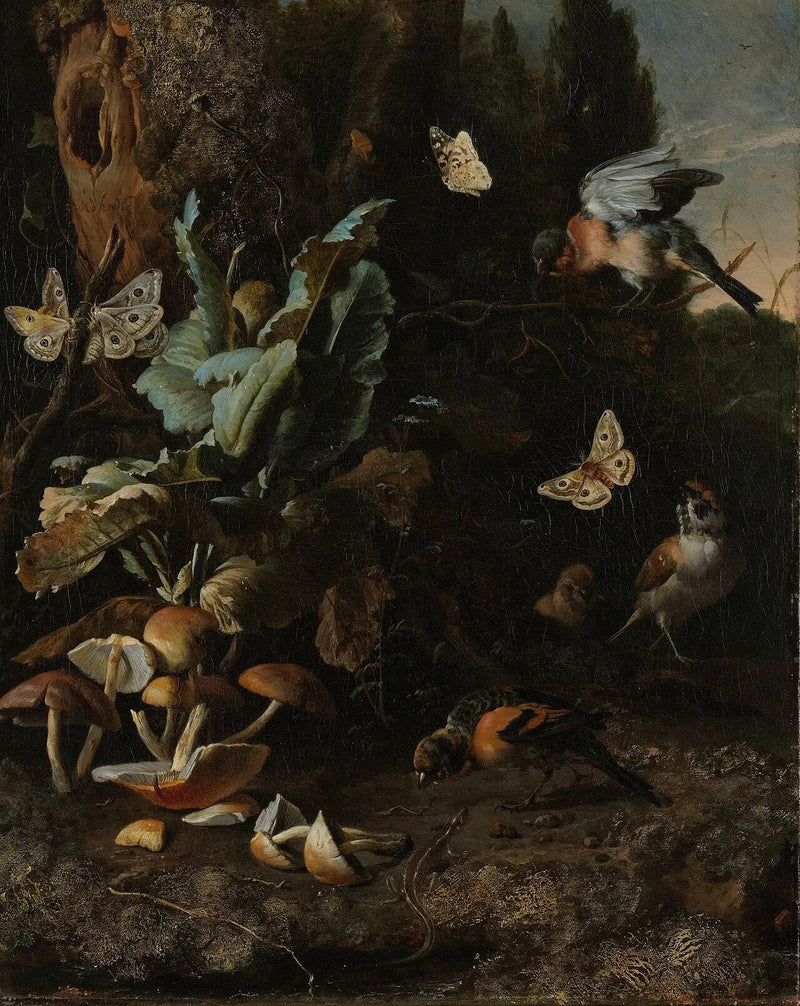 Animali e piante - Melchior de Hondecoeter