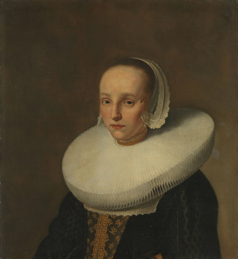 Anna van der Does (1609-50). Épouse de Jan de Hooghe - Paulus Hennekyn