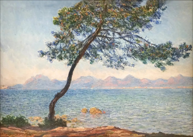 Gli antibatterici - Claude Monet