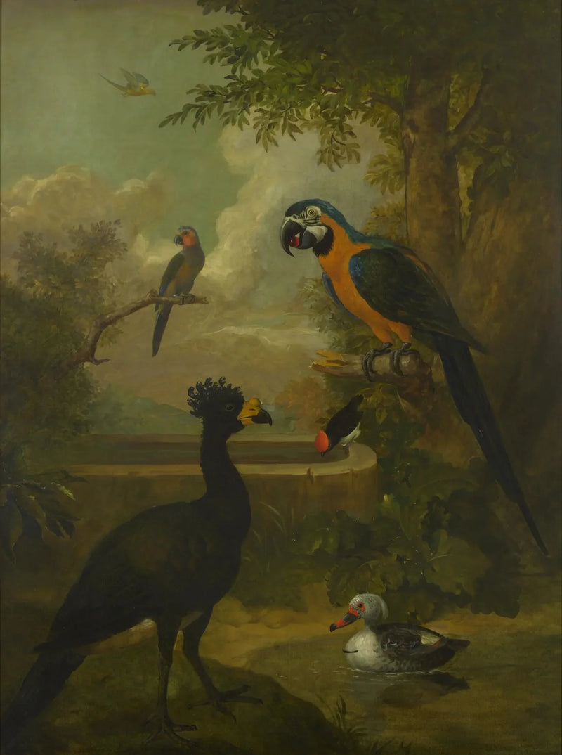 Ara e altri uccelli in un paesaggio - Tobias Stranover