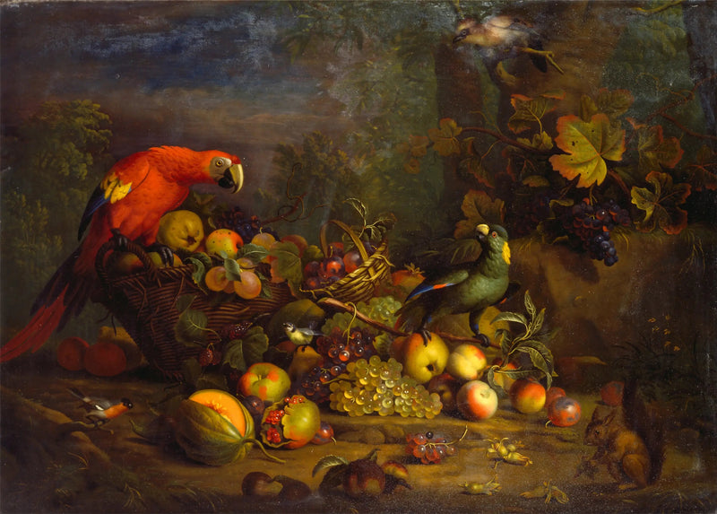 Ara rouge, Amazone à nuque jaune, Bouvreuil pivoine, Mésange bleue, Ghiandaia delle querce e Scoiattolo rosso con frutti - Tobias Stranover