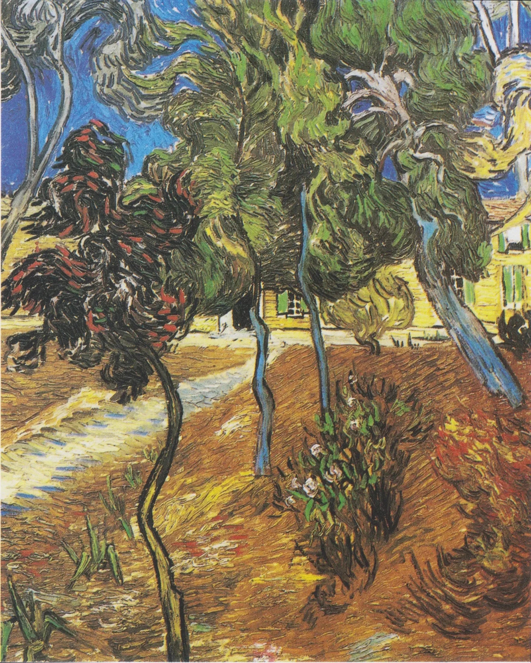 Arbres du jardin de l'hôpital Saint-Paul - Vincent van Gogh image 1 reproduction artisanale de tableau
