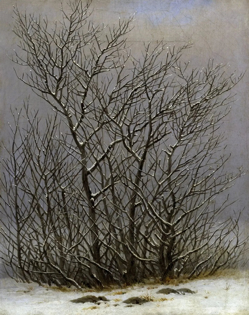 Alberi e arbusti sotto la neve - Caspar David Friedrich