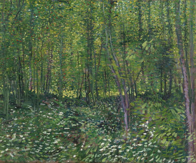 Alberi e sottobosco - Vincent van Gogh