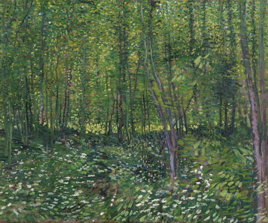 Alberi e sottobosco - Vincent van Gogh
