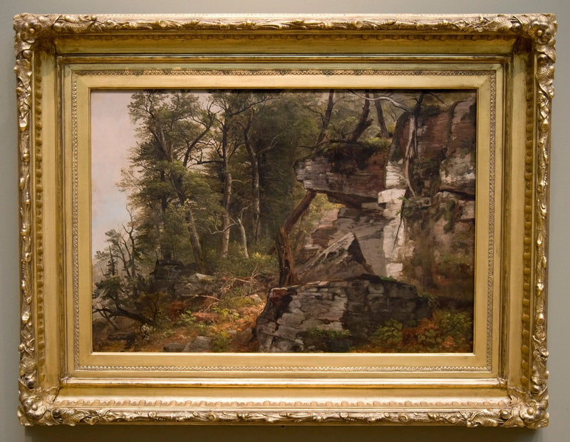 Alberi su una collina rocciosa - Asher Brown Durand