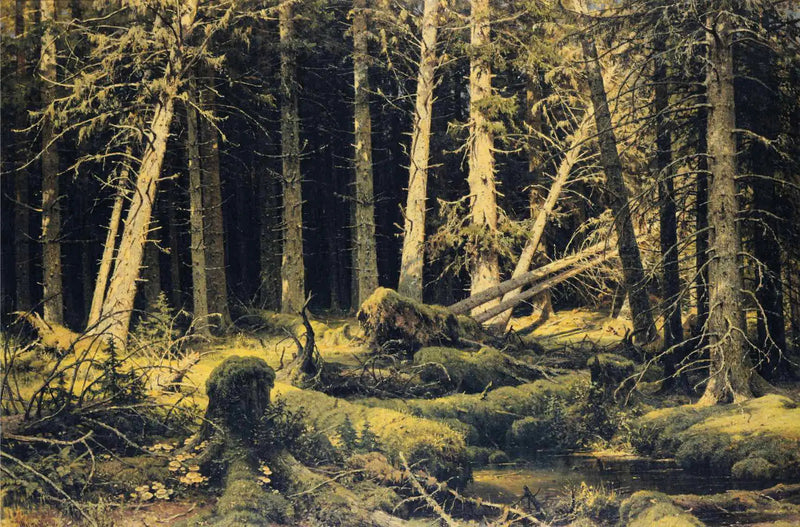 Alberi caduti dal vento - Ivan Chichkine